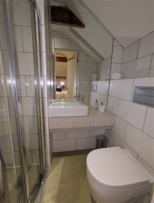 ensuite shower room of double room